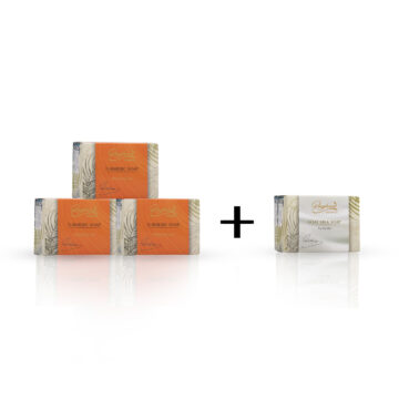 4 Bar Soap - Family Assorted Pack (1)