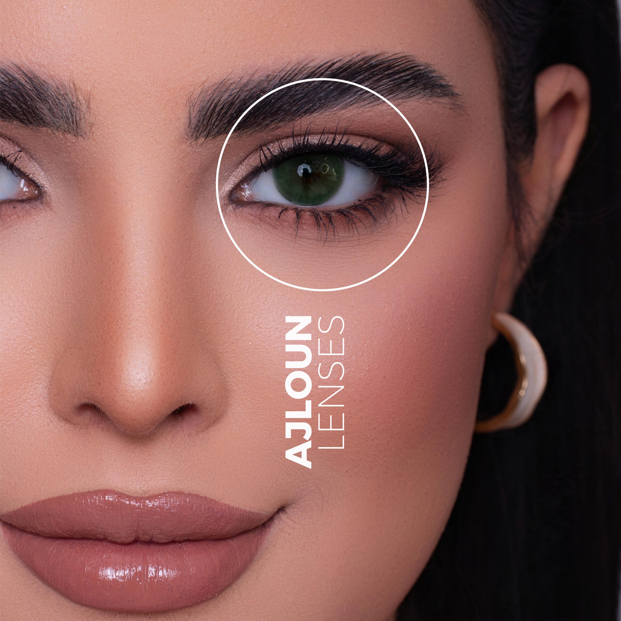 Ajloun product thumbnail 4